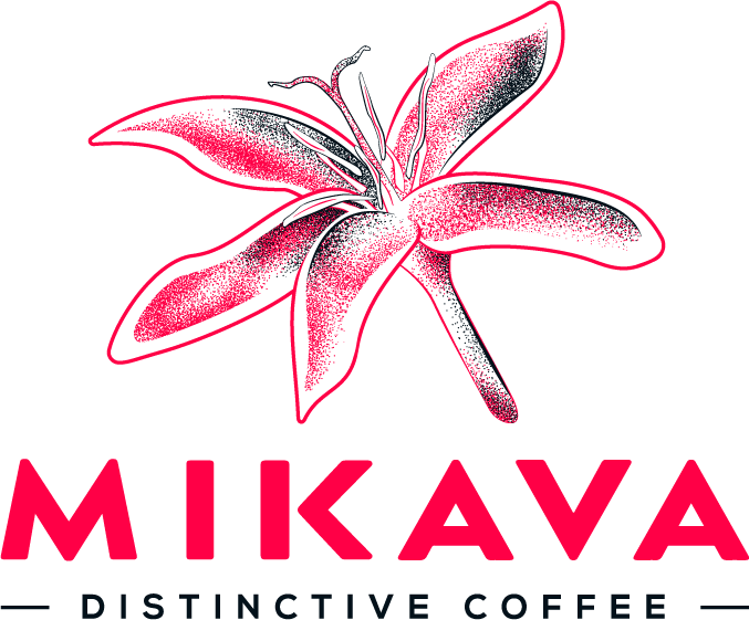 RGY Studio Ecommerce website - Mikava